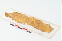 Foto von Goldschwertknaufbesatzfolien (NHMW-PRAE-025451)
